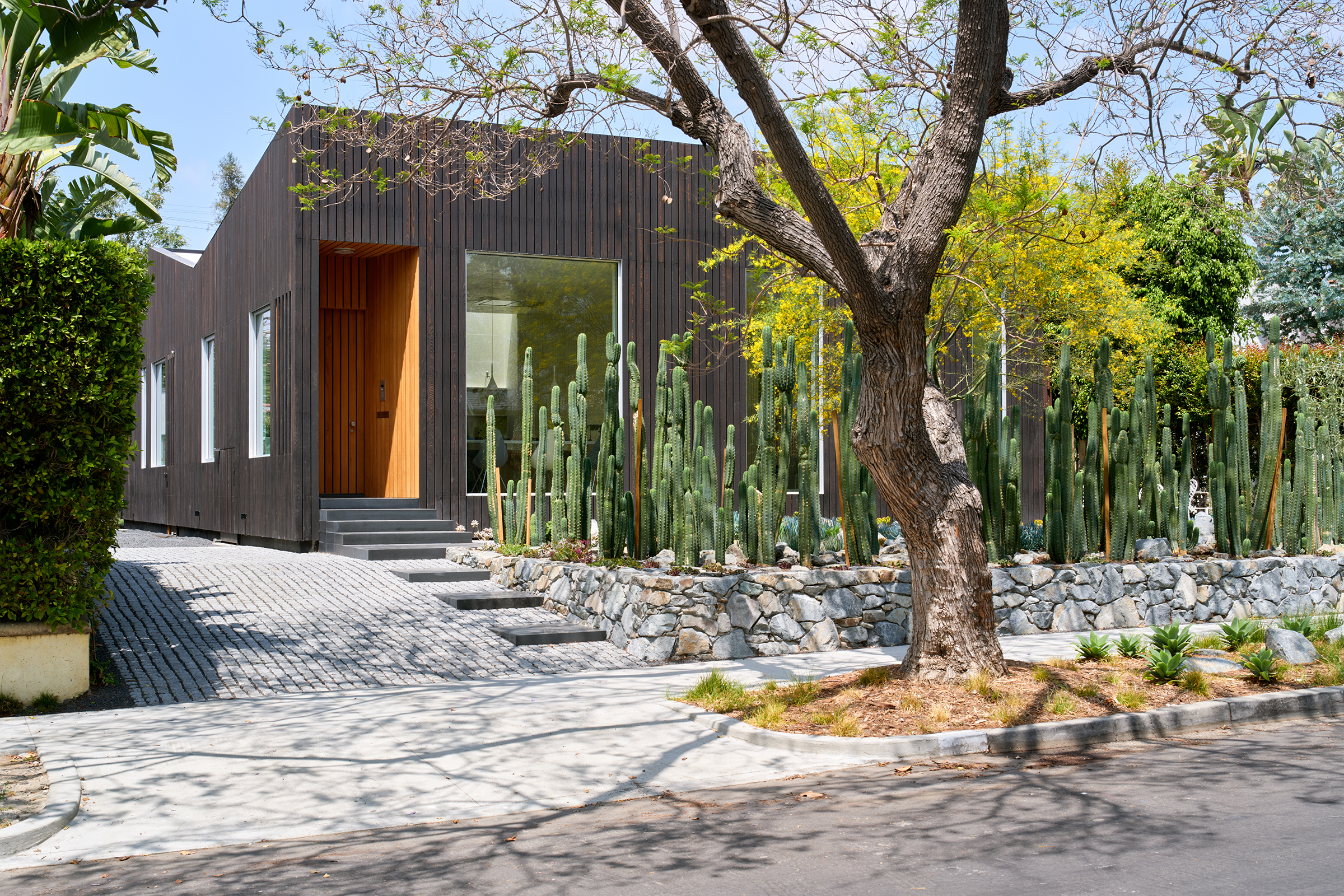 Exterior view showing the dark shu sugi ban wood cladding and the san pedro cactic garden at the front of the house